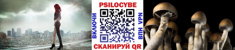 Галлюциногенные грибы MAGIC MUSHROOMS Кондопога